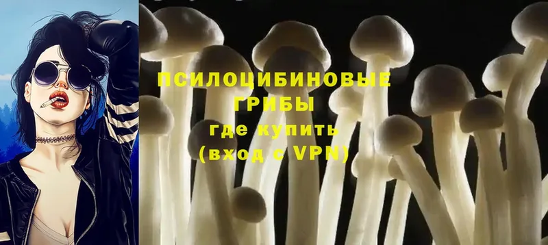 Галлюциногенные грибы Magic Shrooms  Дальнегорск 