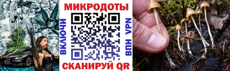 Псилоцибиновые грибы MAGIC MUSHROOMS  цены наркотик  Дальнегорск 