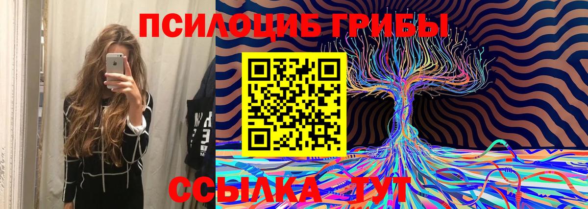 Псилоцибиновые грибы мухоморы Дальнегорск