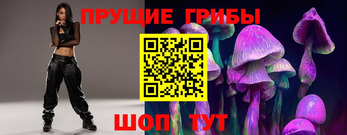 Дальнегорск  Галлюциногенные грибы Psilocybe  Вход с VPN 